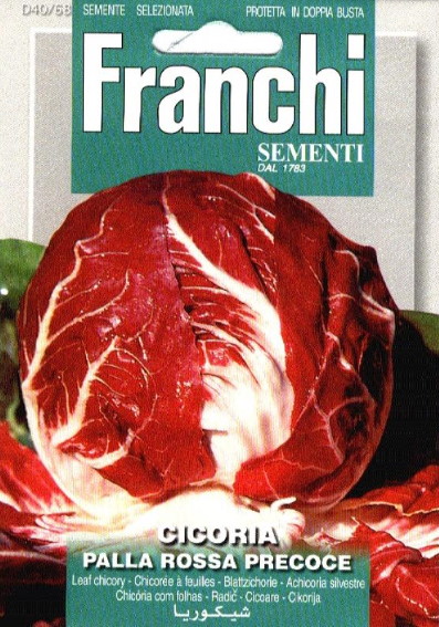 Radicchio Palla Rossa (Cichorium) 6000 seeds FR